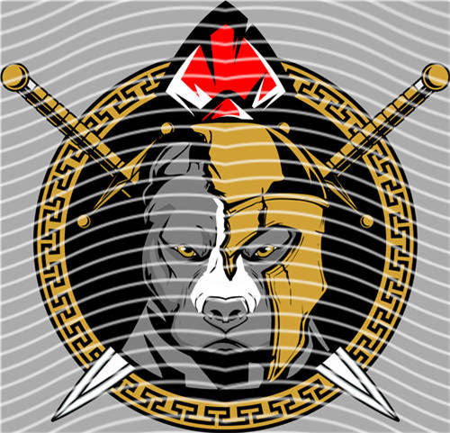 Street design-JT 4947